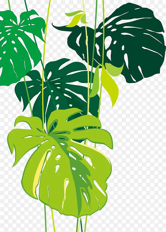手绘绿色吊挂植物图案