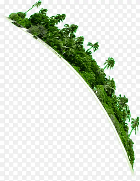 绿色热带椰树风光