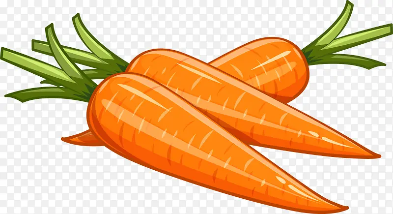 胡萝卜俯视蔬菜