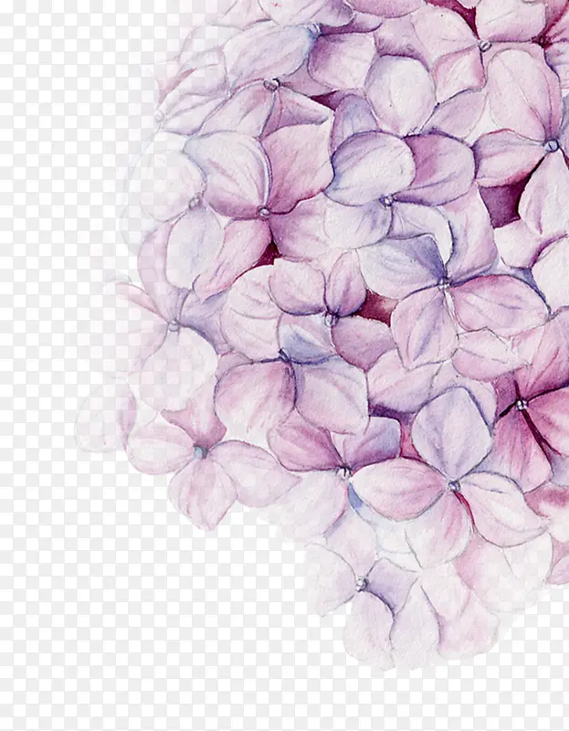 清新唯美手绘紫色花朵