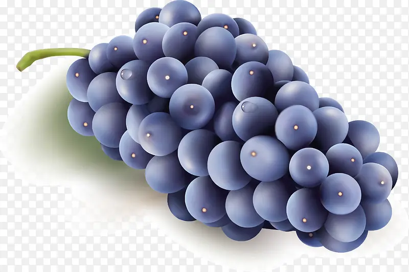 农副产品之新鲜葡萄