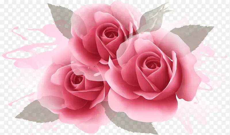 手绘粉红玫瑰花