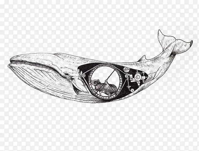 创意大白鲨插画
