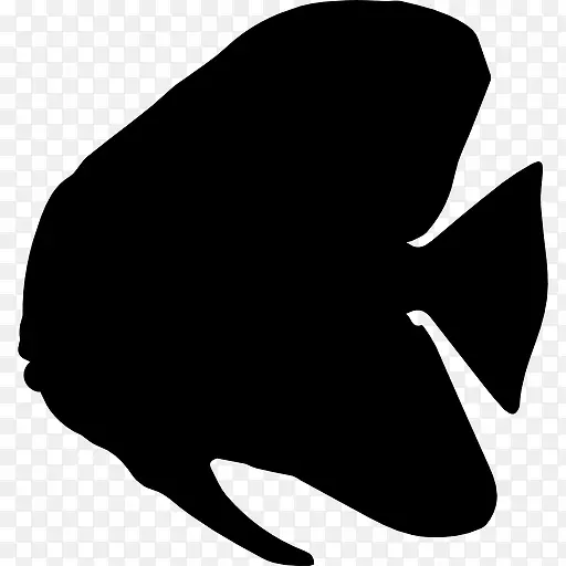 鱼鱼的形状图标