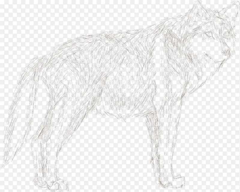 手绘动物狼设计