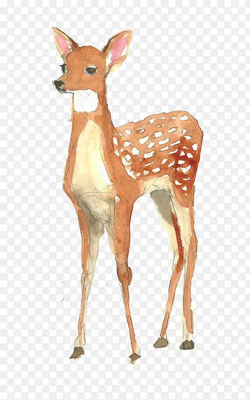 彩绘动物鹿