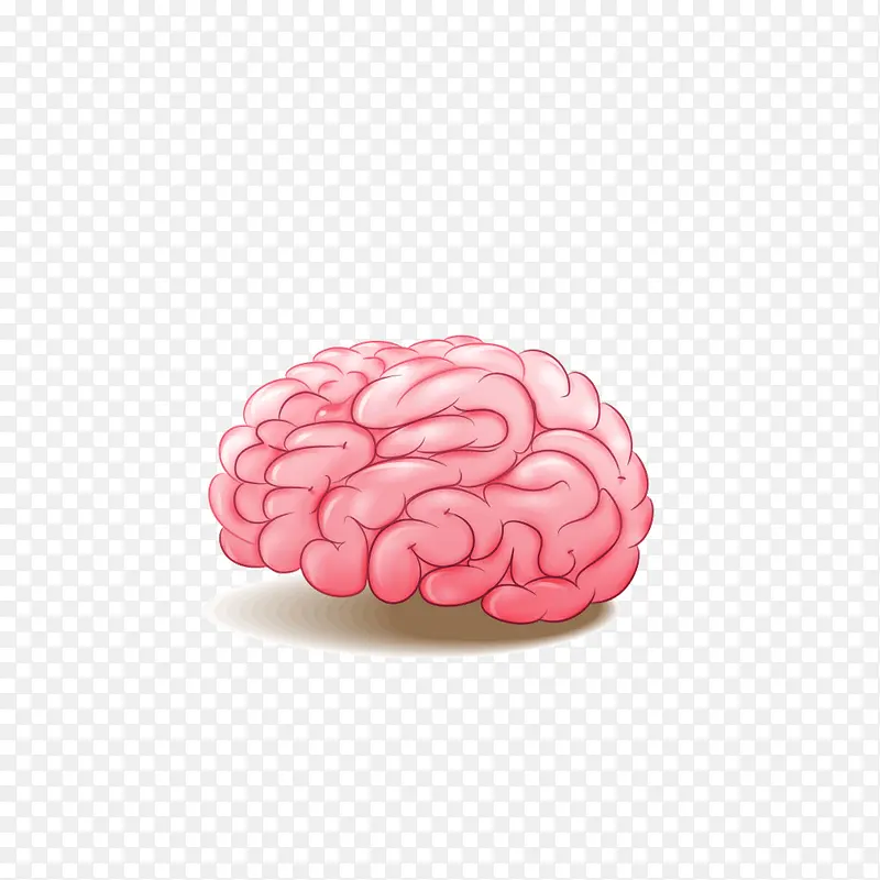 粉红色脑袋大脑