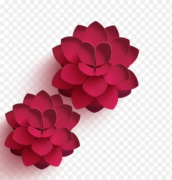 节日红花