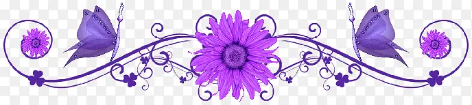 紫色的花朵边框