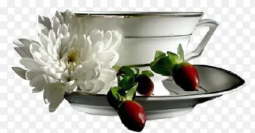 陶瓷杯子花朵装饰图案