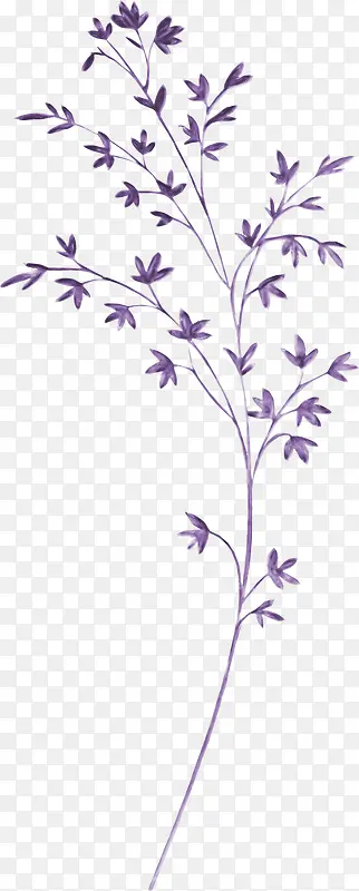 紫色创意枝叶