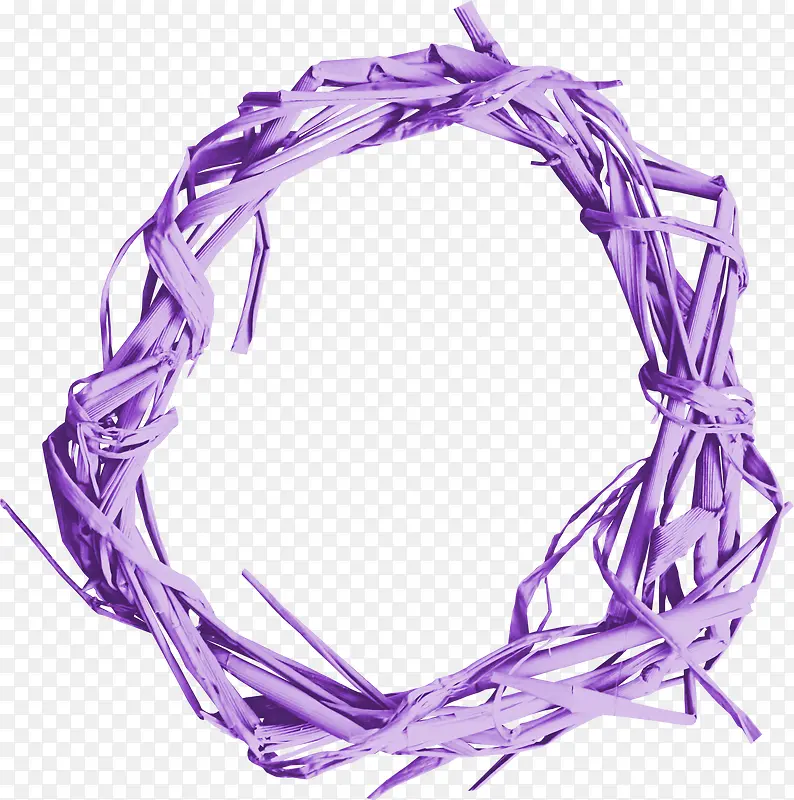 紫色枯草圆环