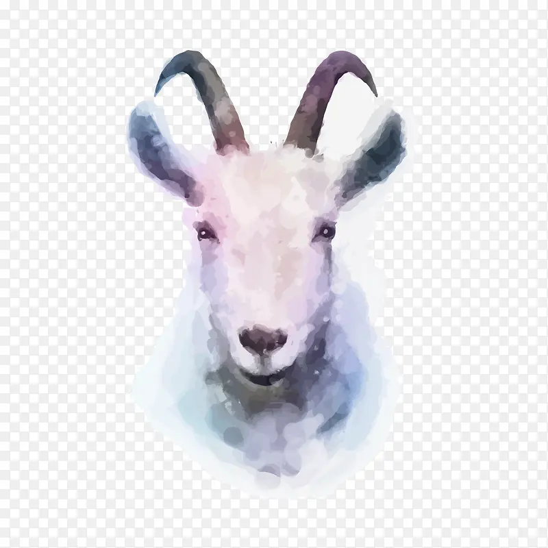 水彩彩绘羊