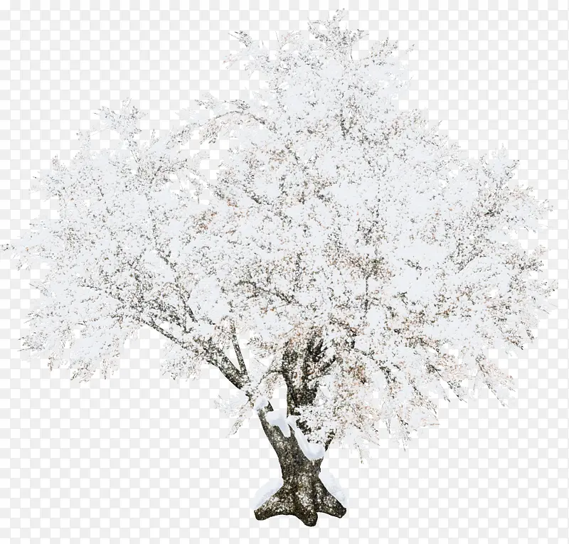 漂亮白雪大树