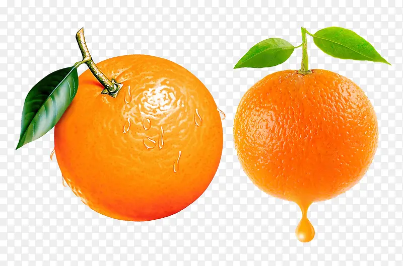 两个柳橙图片素材