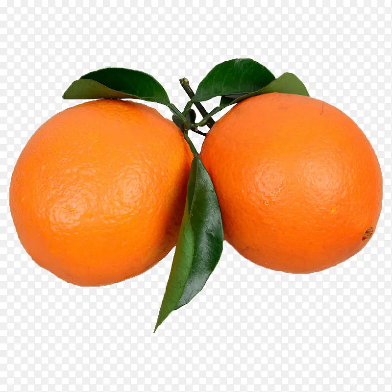 两个绿叶橙子