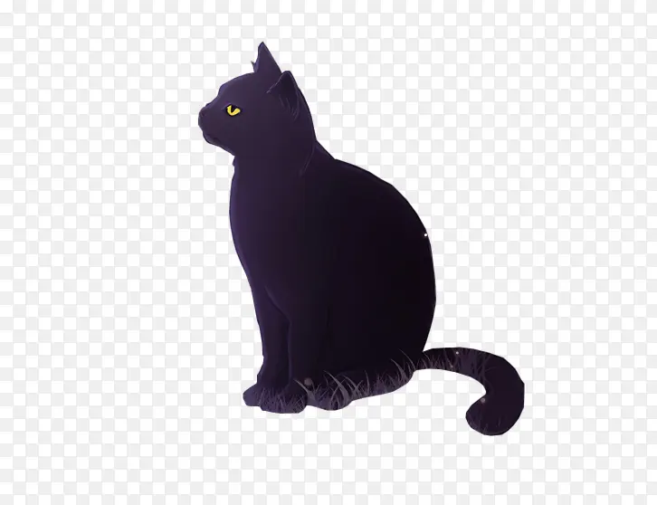 高贵黑色猫咪
