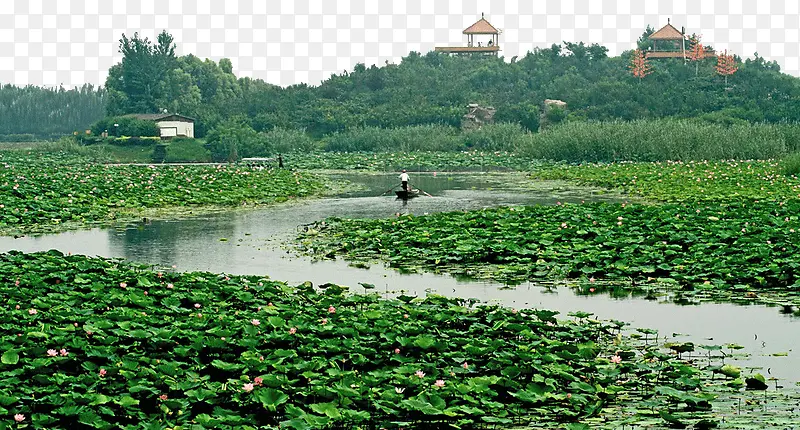 河北景区白洋淀