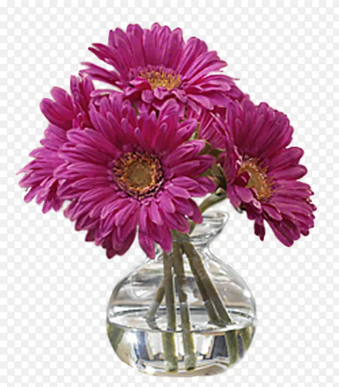 花草玫瑰花瓶子里的花