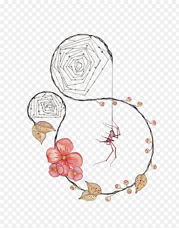 蜘蛛与花朵