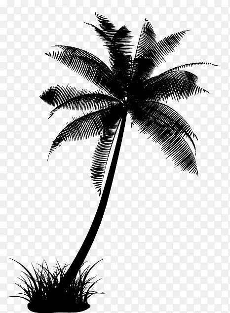 椰子树的剪影矢量素材