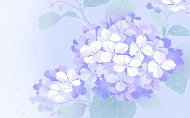 手绘紫色花朵淡雅壁纸