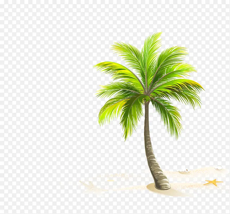 矢量卡通沙滩椰子树素材