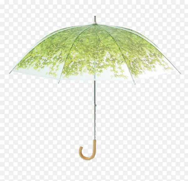一把绿色半透明雨伞