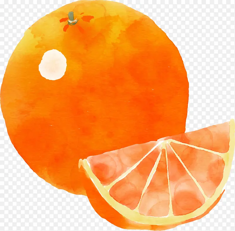 矢量手绘水果橙子