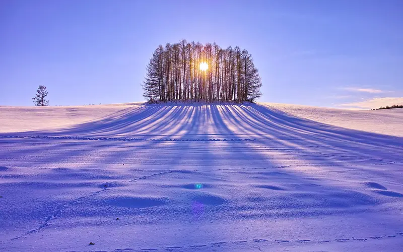 唯美创意树林雪地日出