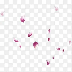 紫红色花瓣漂浮