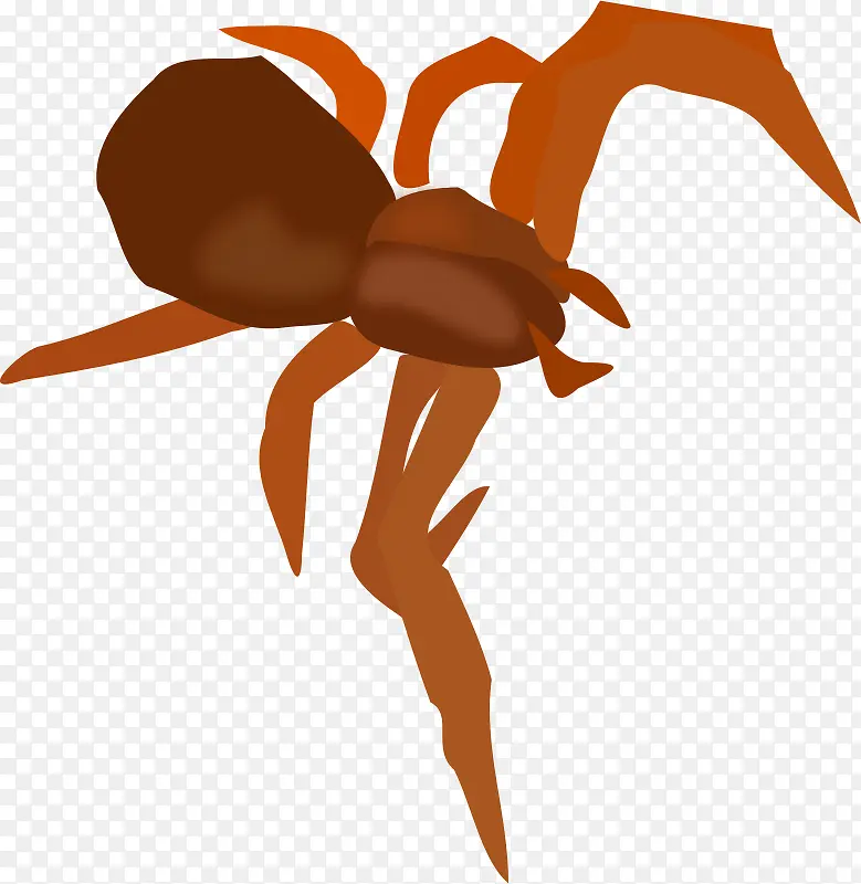 棕色的卡通蜘蛛