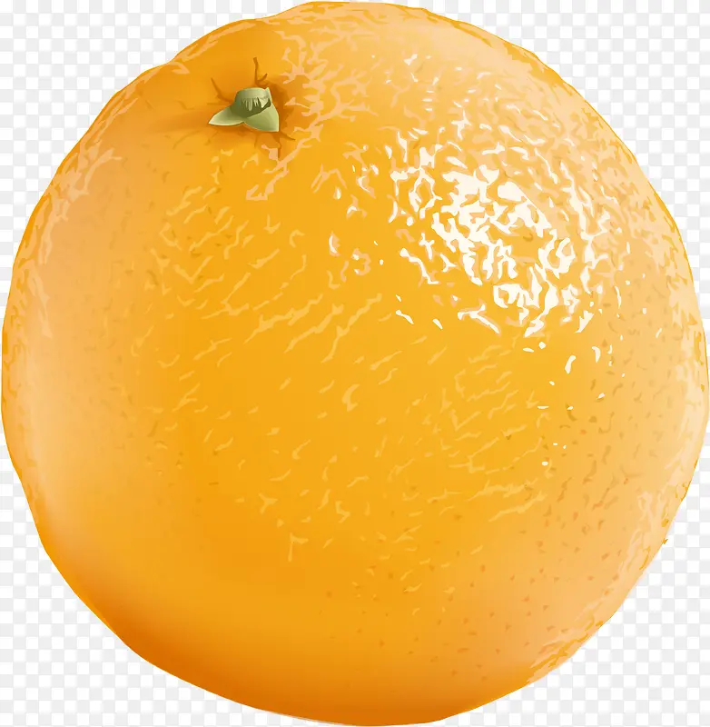 小清新橙色橙子