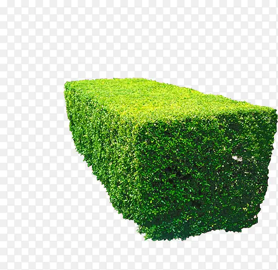 一方草坪 植被绿色园艺树png素材