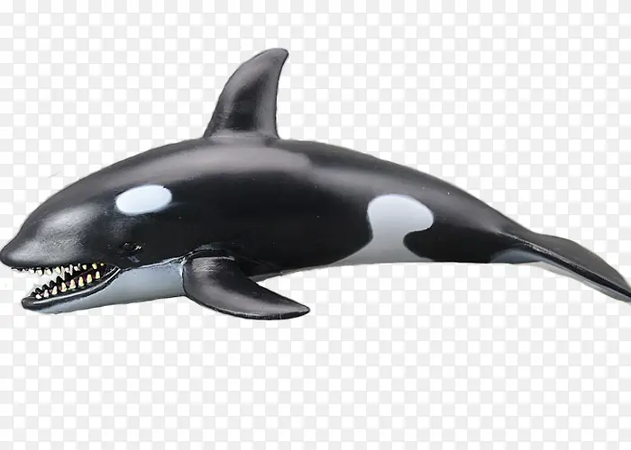 3d虎鲸模型