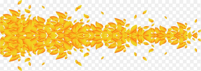 金色花瓣对称