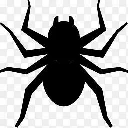 蜘蛛黑白万圣节图标