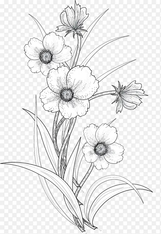 素描盆栽花朵图案