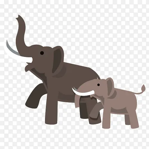 大象组合
