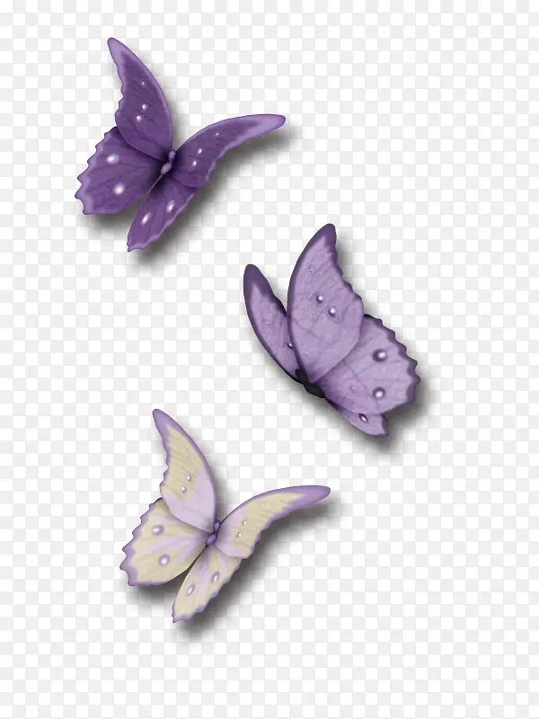 浪漫紫色蝴蝶