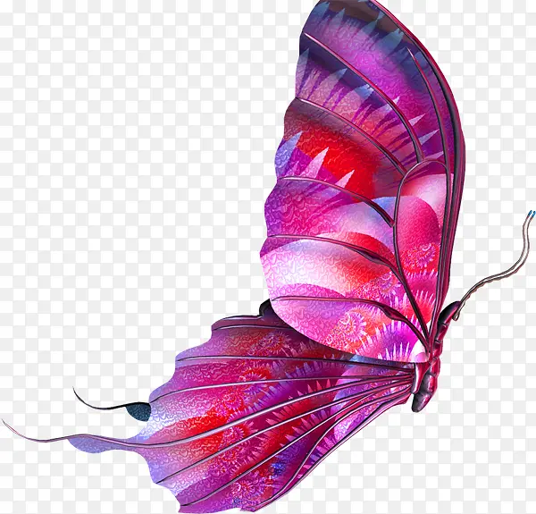 紫色手绘蝴蝶装饰图案