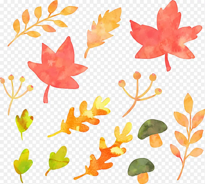 矢量手绘水彩树叶