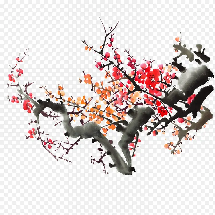 中国风梅花