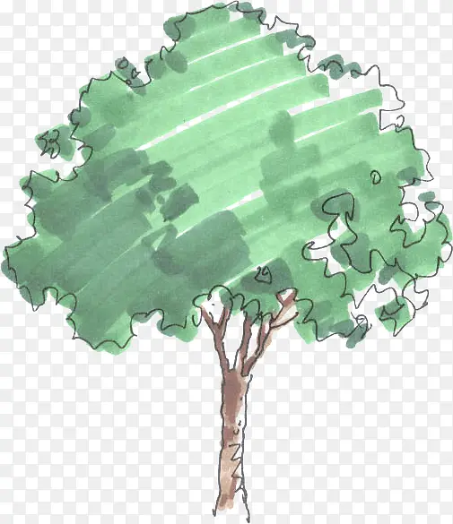 绿色树木植物主图
