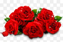 红色花朵玫瑰首页