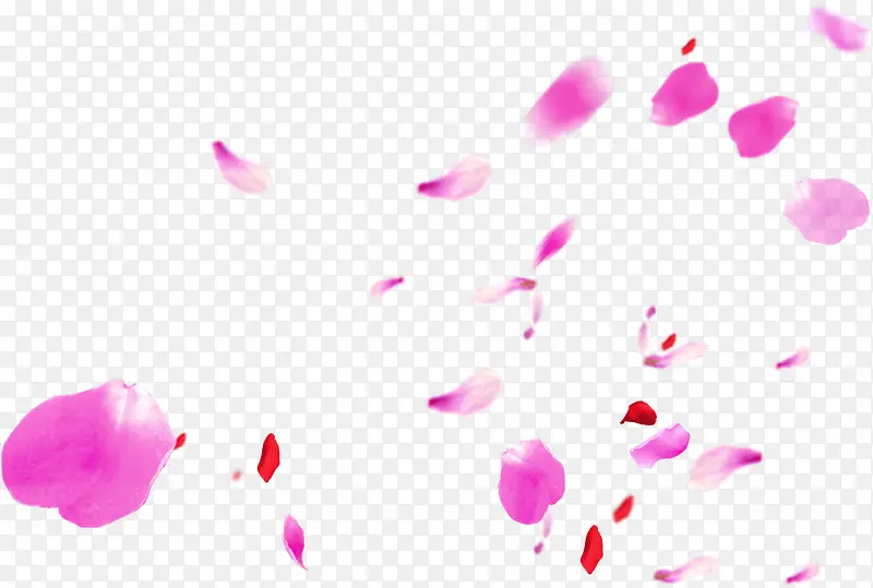粉色烂漫玫瑰花瓣
