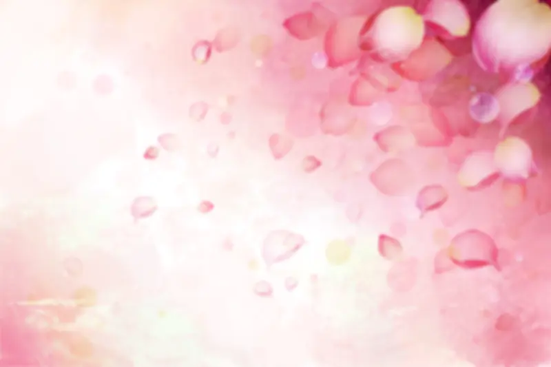 粉色花瓣浪漫装饰背景