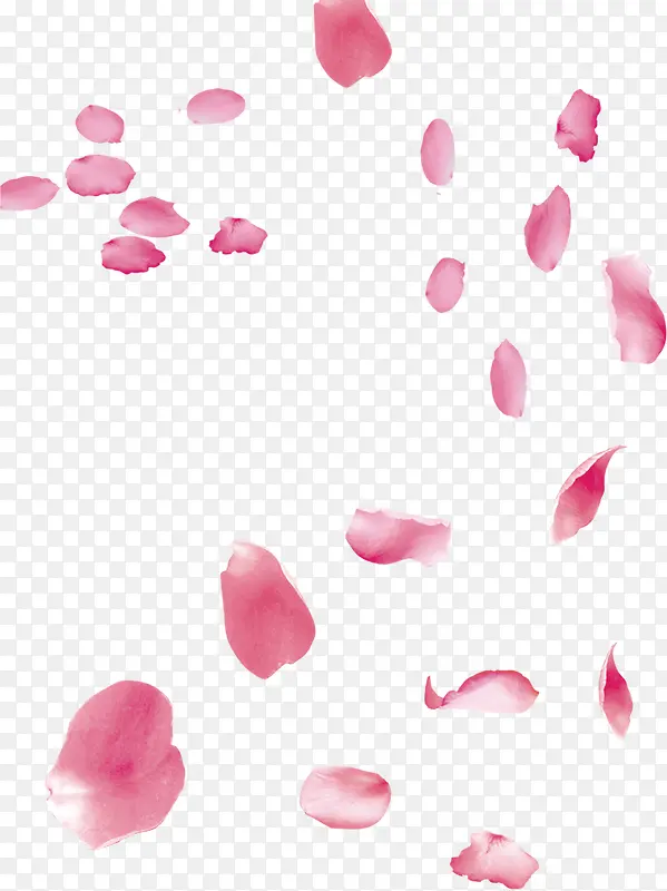 粉色花瓣装饰背景