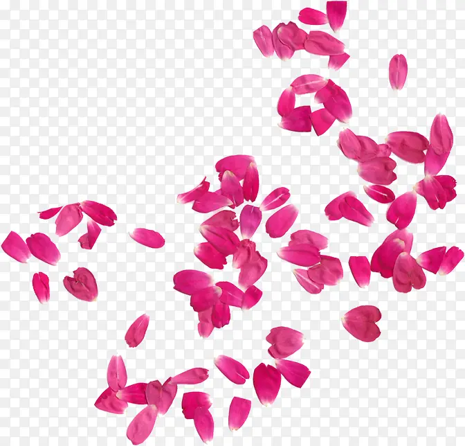 粉色飞舞玫瑰花瓣