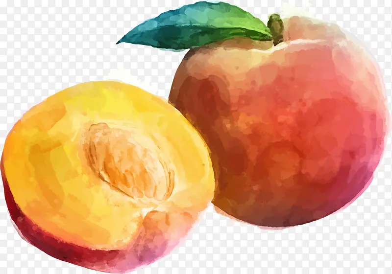 水彩水果苹果